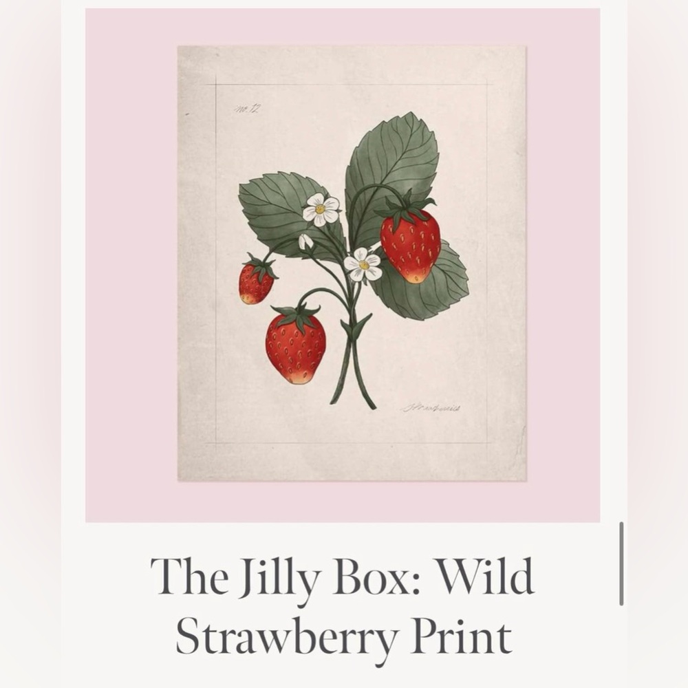 Selling item listed below from previous summer box. 

New Strawberry Print